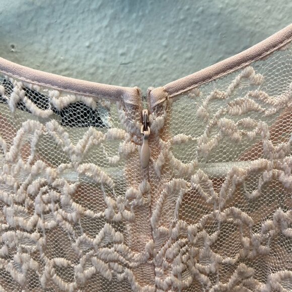 Pink‎ Sleeveless Lace Overlay Skater Dress Sheer Back Zipper sz L party dress - Picture 4 of 15